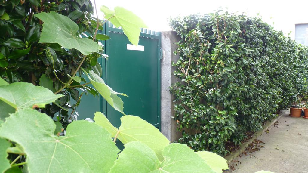 Azores Holidays House -B&B - Suites - Self Check-In Keyboard Понта Делгада Екстериор снимка
